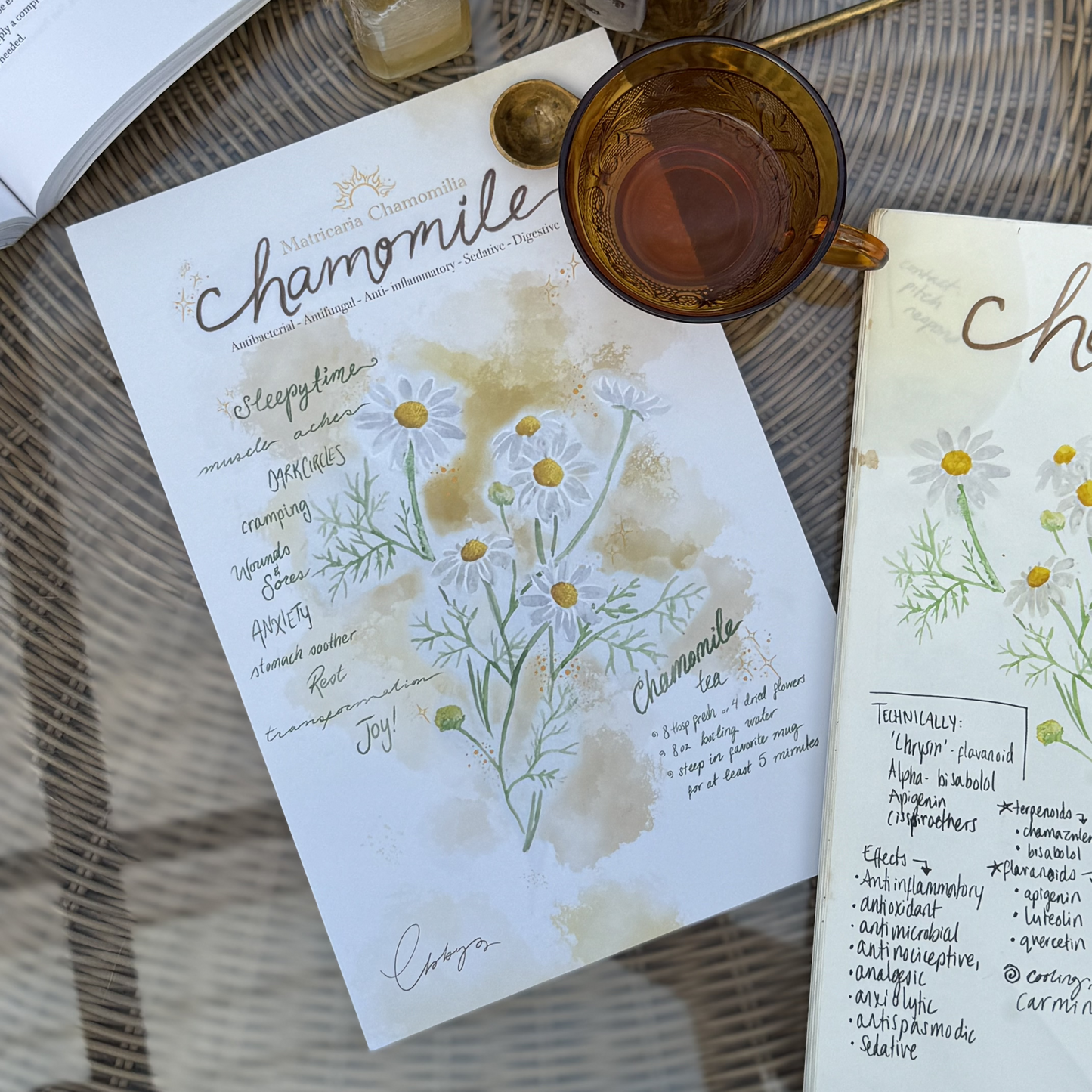 Herb Of The Month - Chamomile Print
